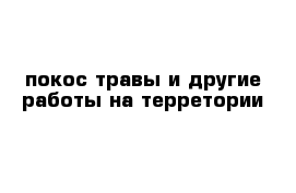 покос травы и другие работы на терретории 